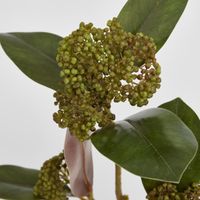 Magnolia Berry Spray 80cm Burgundy