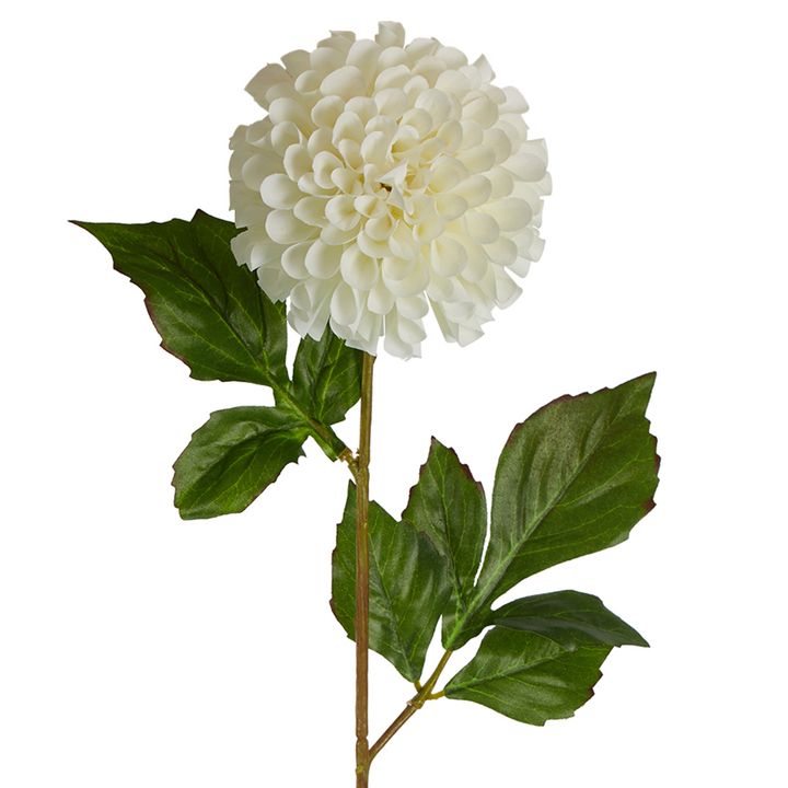 Pompom Ball Dahlia Stem 62cm Cream