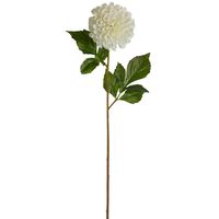 Pompom Ball Dahlia Stem 62cm Cream