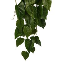 Anthurium Bunch Real Touch 7 Branches