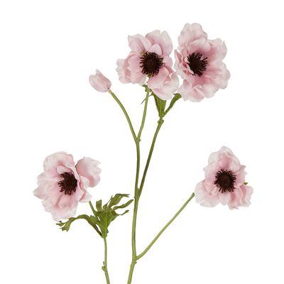 Anenome Stem 90cm Pink