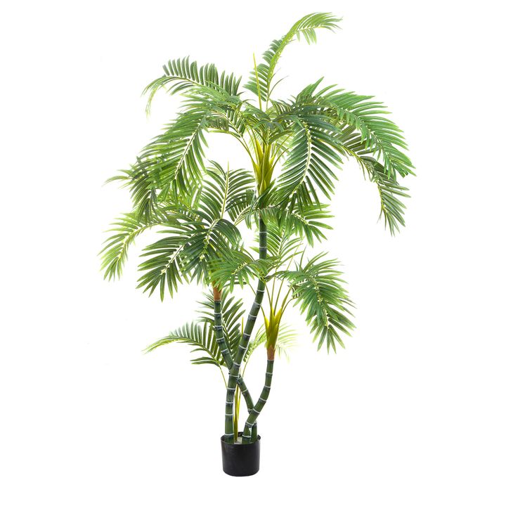 Areca Palm Twisted Trunk 1.7m