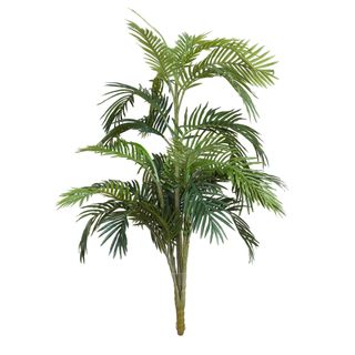 Areca Palm 1.2m