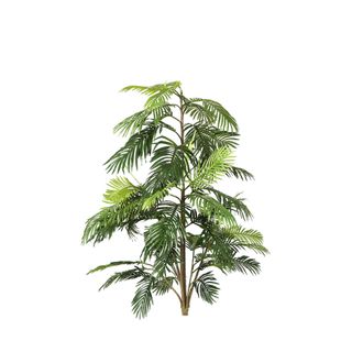 Real Touch Palm Tree In Black Pot 210cm