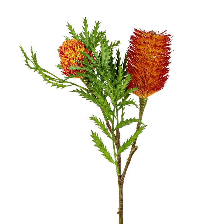 Banksia Spray with Bud & Leaf 80cm Rust