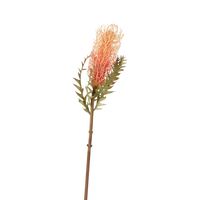 Dried Look Banksia Stem 75cm Peach