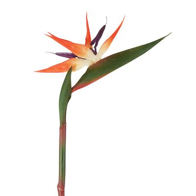 Bird of Paradise Stem 95cm