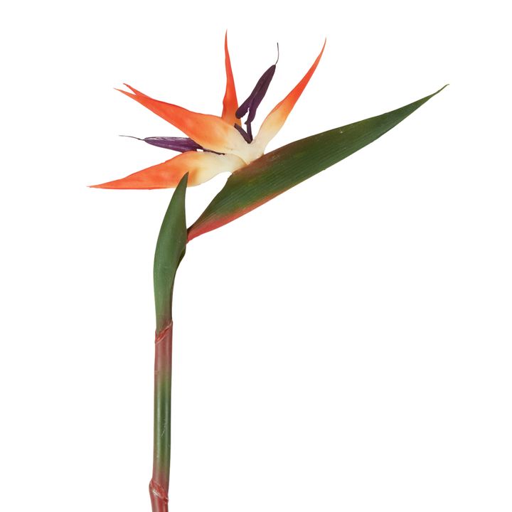 Bird of Paradise Stem 95cm