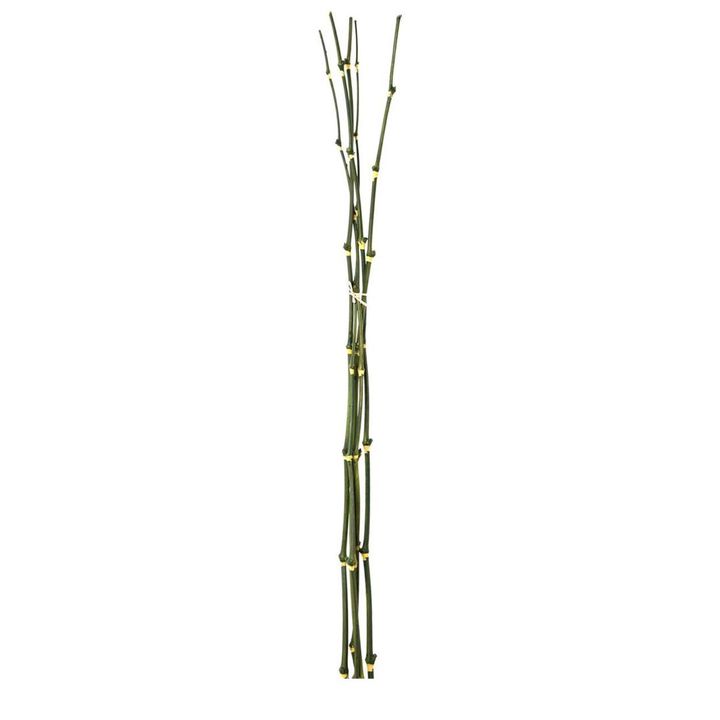 Bamboo twig Bundle 98cm Green