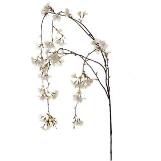 Cherry Blossom Hanging Spray 1.3m White