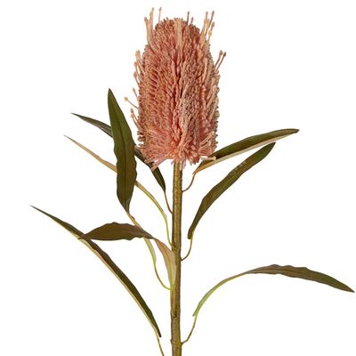 Dried Look Banksia Stem 56cm Dusty Pink