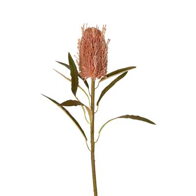 Dried Look Banksia Stem 56cm Dusty Pink