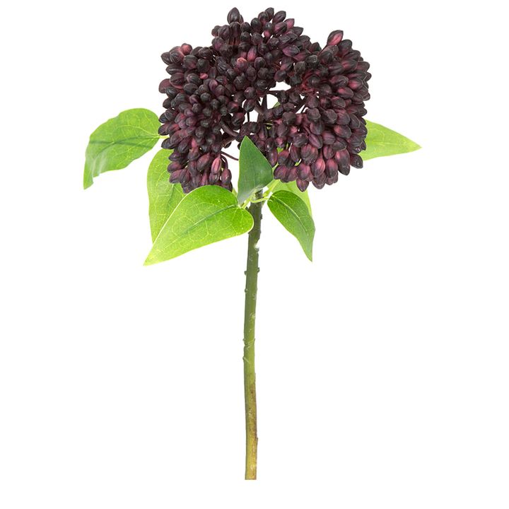 Berry Stem 43cm Purple