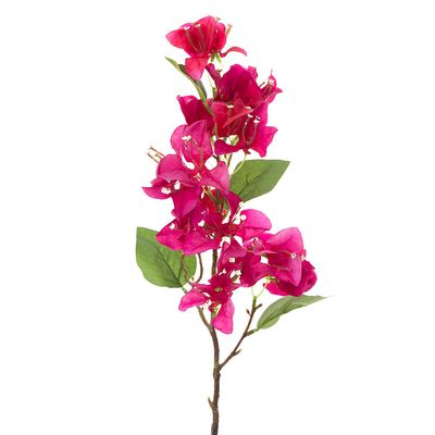 Bougainvillea Spray 75cm Fuchsia