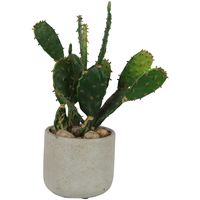 Desert Cactus 32cm