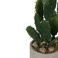 Desert Cactus 32cm