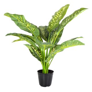 Cane Plant Real Touch in Pot Large 85cm