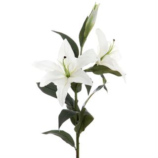 Casablanca Lily 90cm White