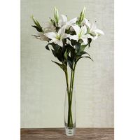 Casablanca Lily 90cm White