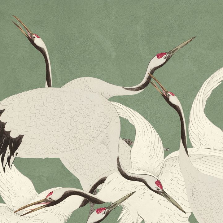 Here And There Green Wallpaper