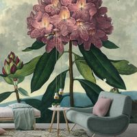 Darling Buds Of May Wallpaper