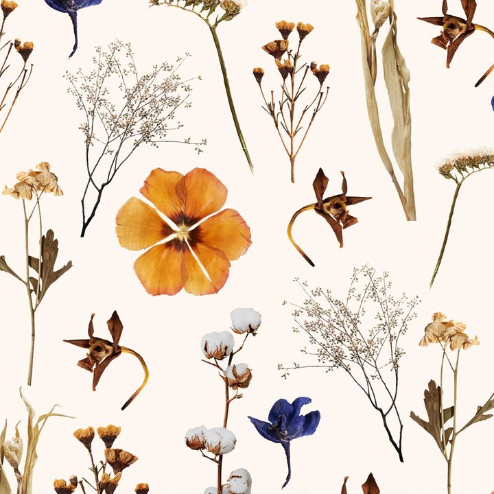Dried Flowers Wallpaper