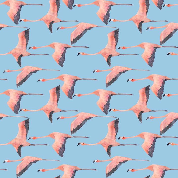 Flying Flamingo Pattern Wallpaper