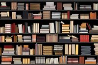 Biblio Teek Wallpaper