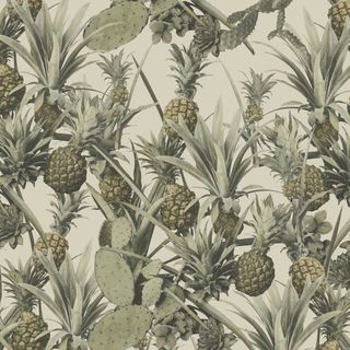 Pineapple Cactus Wallpaper