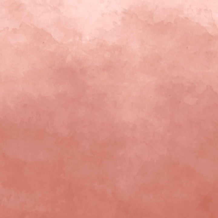 Sun Kissed Wallpaper