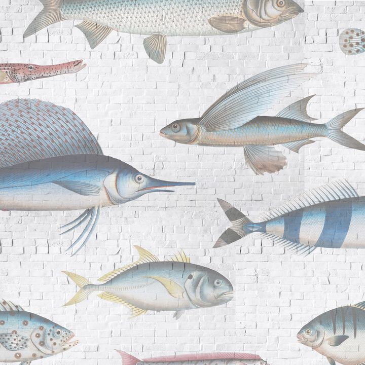 Swimming Upstream Wallpaper