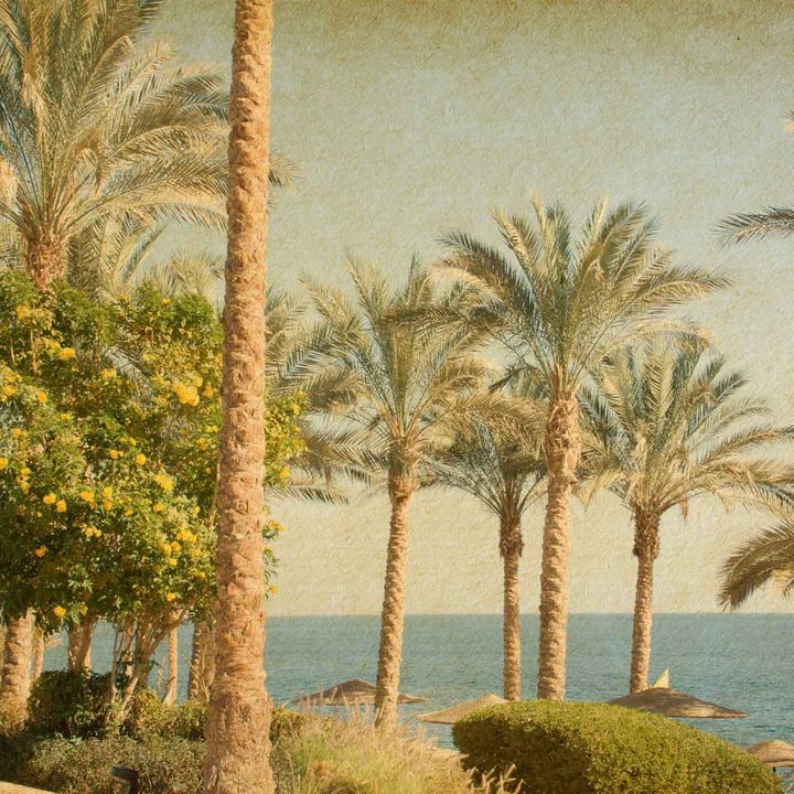 Juan Le Pins Wallpaper