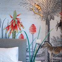 Karoo Magic  Wallpaper