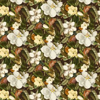 Magnolia Mastery Wallpaper