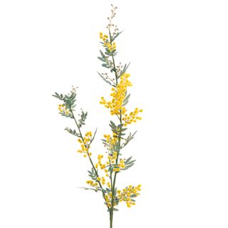 Mimosa Spray Long 1.1m Yellow
