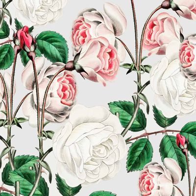 Thorn Amongst the Roses Wallpaper