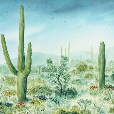 A Land To Explore Wallpaper