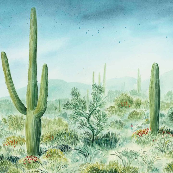 A Land To Explore Wallpaper