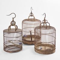 Beijing Birdcage Small