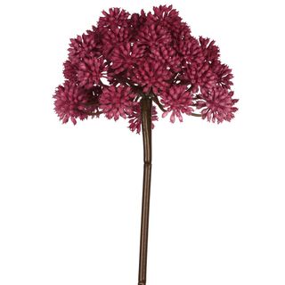 Allium 98cm Fuschia