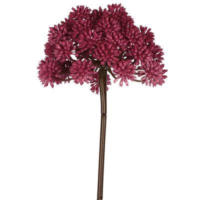 Allium 98cm Fuschia