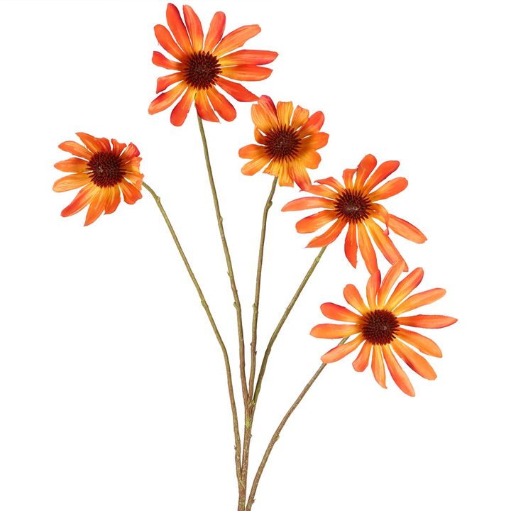 Black Eyed Susan Stem 82cm Orange