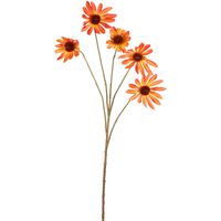 Black Eyed Susan Stem 82cm Orange