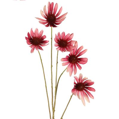 Black Eyed Susan Stem 82cm Pink