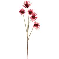 Black Eyed Susan Stem 82cm Pink