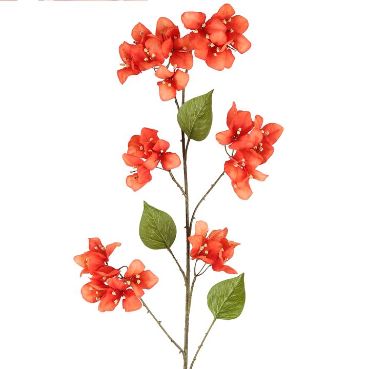 Bougainvillea Spray 118cm Orange