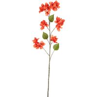 Bougainvillea Spray 118cm Orange