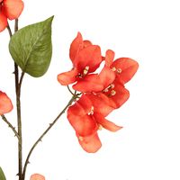 Bougainvillea Spray 118cm Orange