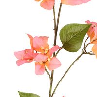 Bougainvillea Spray 118cm Salmon