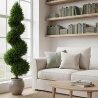 Boxwood Spiral Tree 1.9m